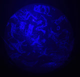 DS Skyview Pocket Planetarium