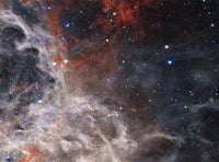 Tarantula Nebula Disc, DS-55