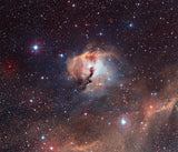 Seagull Nebula Disc