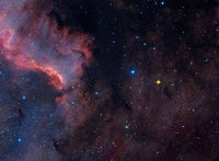 North American Nebula Disc